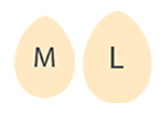M, L