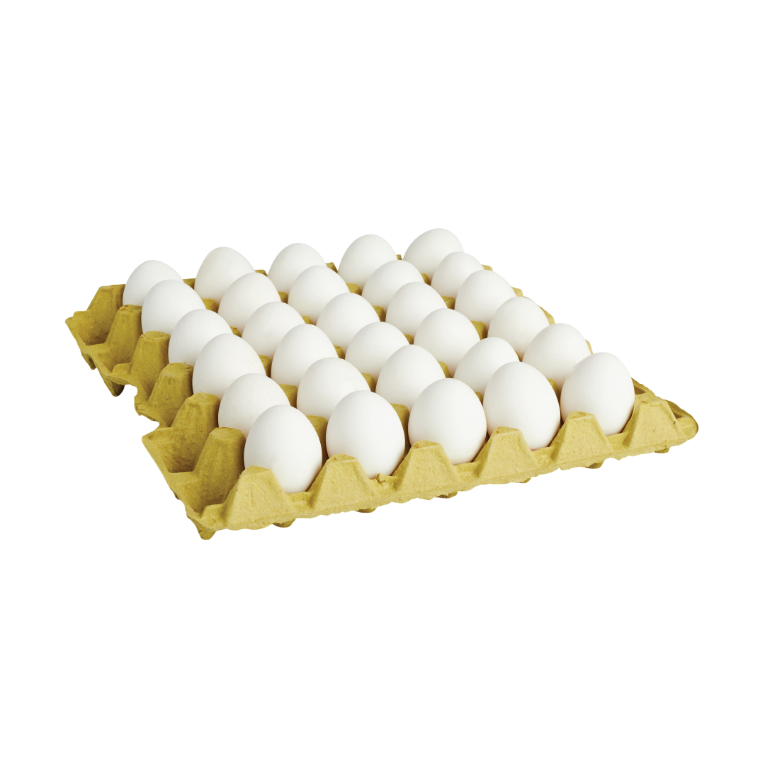 Resim 3