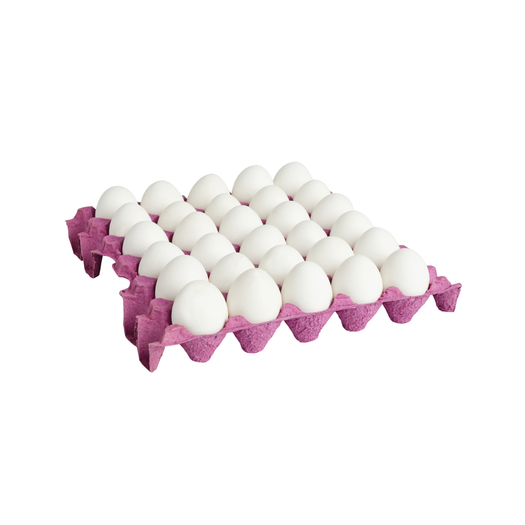 Resim 4