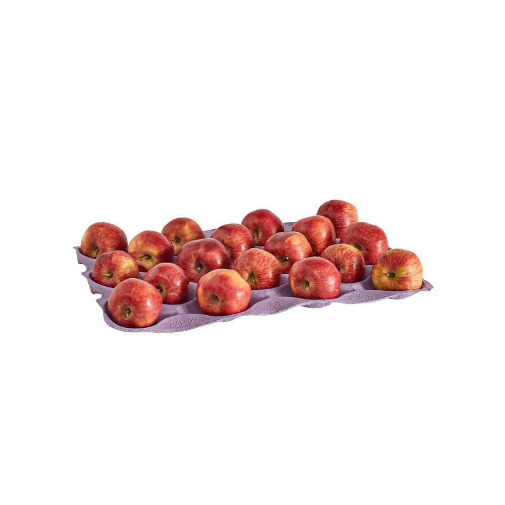 Resim 1
